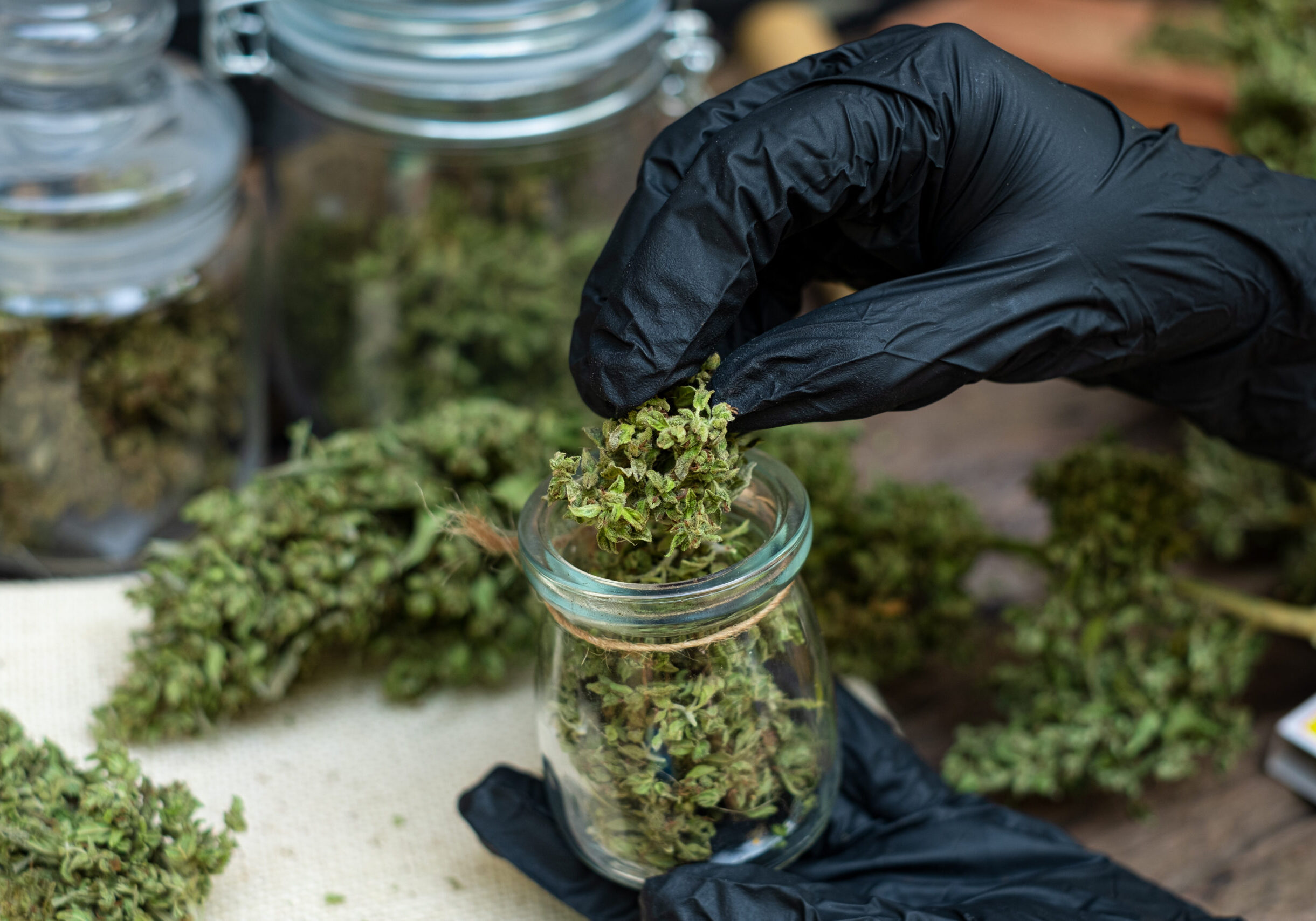 payment processing for cannabis dispensaries payment processing for cannabis dispensaries