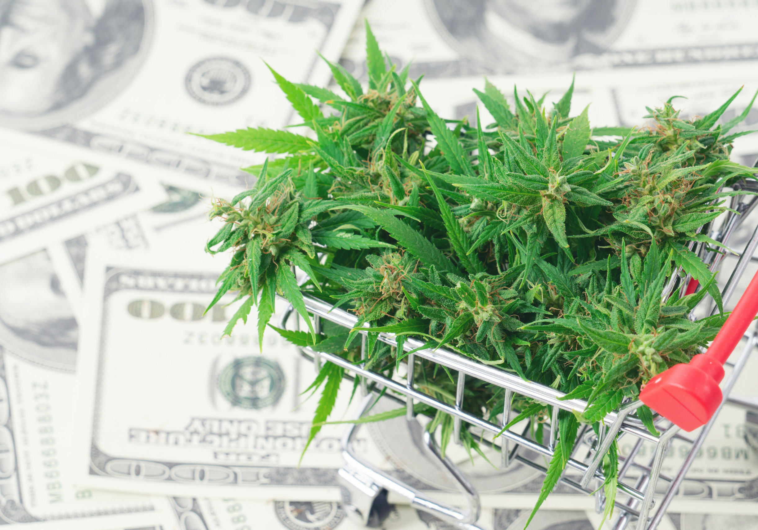 Payment Processing for Marijuana Businesses (Medical & Recreational) Payment Processing for Marijuana Businesses (Medical & Recreational)
